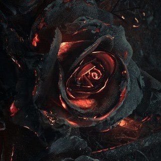 hellsresonance's profile picture. Everybody is facing a war you know nothing about