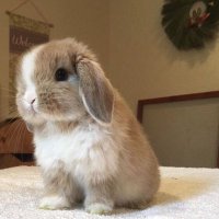 Ctrna143 (@ctrna143) 's Twitter Profile