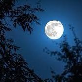 Hend saleh (@hendsal88264311) Twitter profile photo