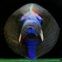 Dr. Tom (@mechapinata) 's Twitter Profile Photo Dr. Tom (@mechapinata) 's Twitter Profile Photo