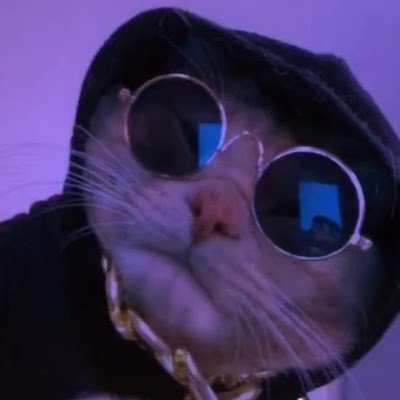 Bartek3xe's profile picture. Pasjonat