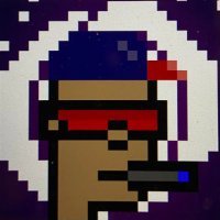 Digital Asset Investor:  #BTC. Miner of the forbidden Satoshis. Stacker of the hidden Gems.