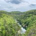vicki simpson (@mountaingaltn) Twitter profile photo vicki simpson (@mountaingaltn) Twitter profile photo