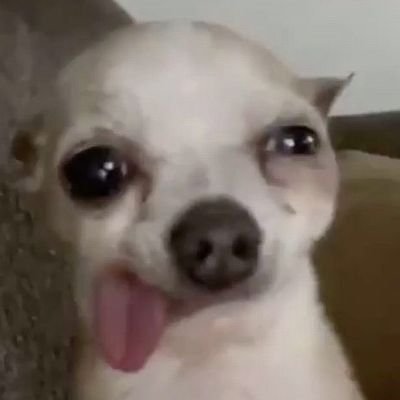 TeresaMalteser's profile picture. only active when Love Island is on :)