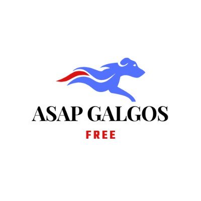 asapgalgos's profile picture. Perfil especializado no melhor mercado de apostas do mundo!

Sinais para corridas de galgos todos os dias em nosso telegram.

Link do canal: https://t.co/RoxLbhE3Px