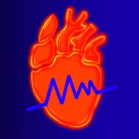 Midnight Minor (@midnight_minor) 's Twitter Profile