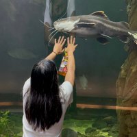 Summer Systematics Institute (@calacademy_ssi) 's Twitter Profile