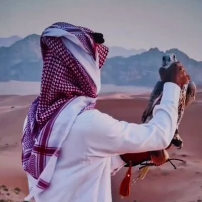 loonalhayah3's profile picture. 