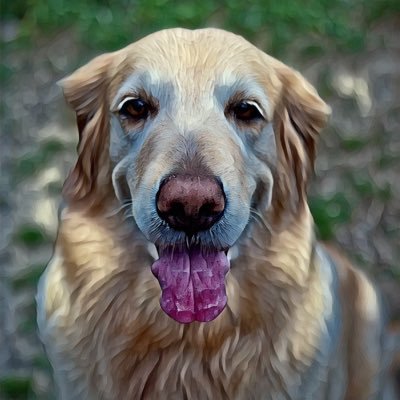 Retired Army EOD and civilian law enforcement. Golden Retriever lover.
