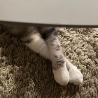 Jérémy Decerle (@jeremydecerle) 's Twitter Profile