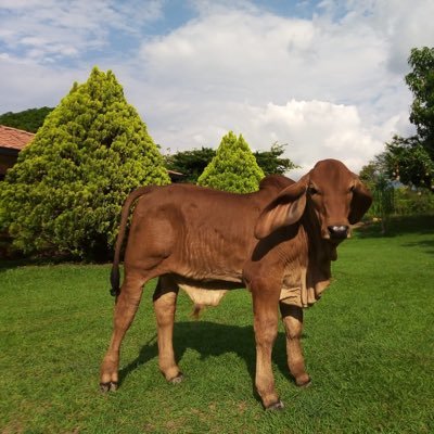 ximenacam's profile picture. 