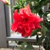 Jennifer Hoer (@hoer_jennifer) Twitter profile photo Jennifer Hoer (@hoer_jennifer) Twitter profile photo