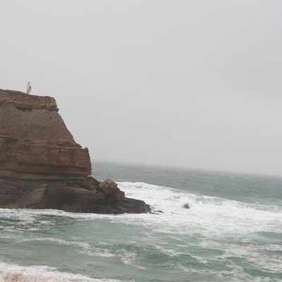 AnaLciaBento2's profile picture. 