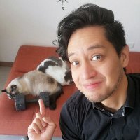 José Javier (@joejavs) 's Twitter Profile