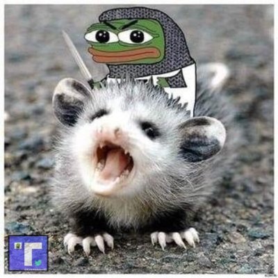 floridapossum Profile Picture