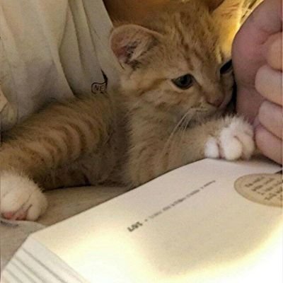 pwtsgfea's profile picture. addicted to someone i cant have