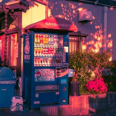 Cruxd's profile picture. minyeondan🦊