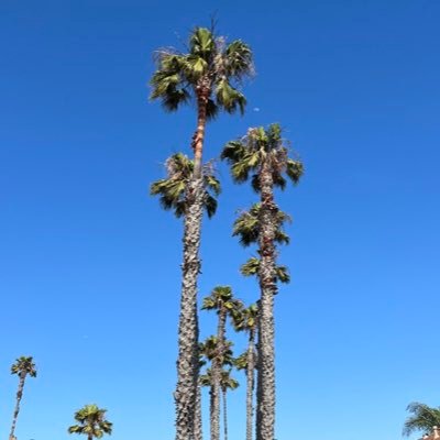 Soulo_Steez's profile picture. live on live long 🤞