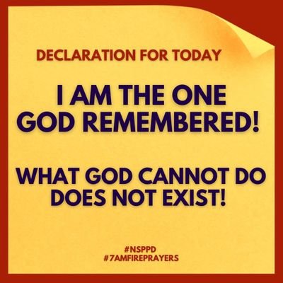 XETENCH's profile picture. 