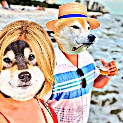 Creator of #DogeFamilyVacation 🌴🍹can be found at https://t.co/6WLYPDtoxs 💖  #DOGEFAM 4 LIFE 💯