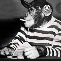 erdener.zz (@erdenerzz) Twitter profile photo