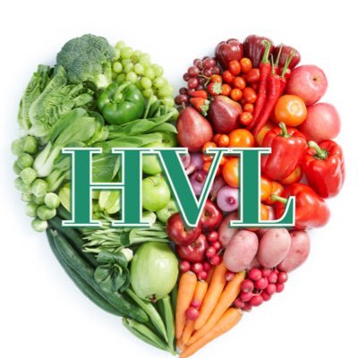 HealthyVibesNow Profile Picture