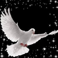 التعلم عن بعد (@altlmnbd1) Twitter profile photo