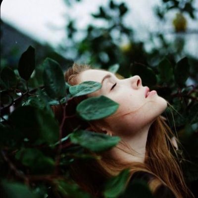 Senurita341's profile picture. @Abdulmajeed6531