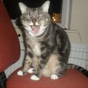 Sammyyyyy. - @SamuelReuben - Twitter