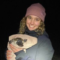 Sophie Hewitt (@sophiehewitt33) 's Twitter Profile