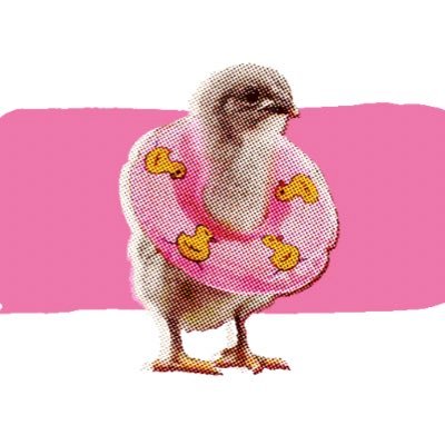 akamakibun's profile picture. 2009年10月からTwitterを利用しています