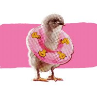 a*mi (@akamakibun) Twitter profile photo
