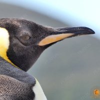 Magazine.Travel by AgeTM (@magazine4travel) 's Twitter Profile Photo