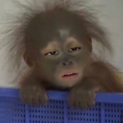 ɴ ғroм ɴαrcιѕѕυѕ lllさんのプロフィール画像