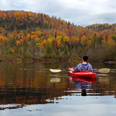 Photography account of @Bazkip  
Capturing the beauty of nature ⛰️🌳🌲 
bluesky: https://t.co/n9Yo2AAGn1