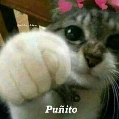 Albornoz1515's profile picture. 