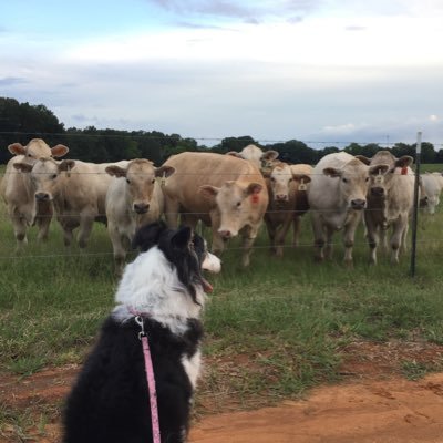 CaptainM_gineer's profile picture. Atypical Engineer