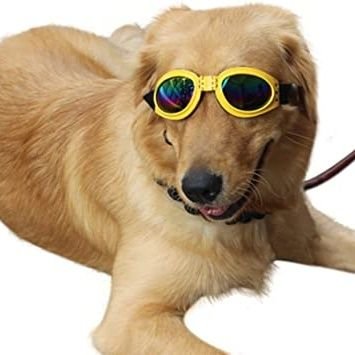 javiolii1's profile picture. hi