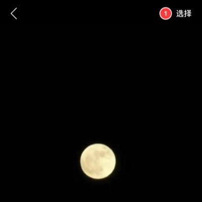 linhongcha2022's profile picture. 没啥好说的