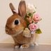 小兔子愛吃胡蘿蔔🥕🥕🥕 Profile Image