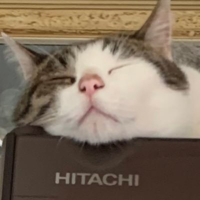 RTミュート推奨/メディアタブの整理用→@jugemu_yarou / ✉️:coonelworks@gmail.com