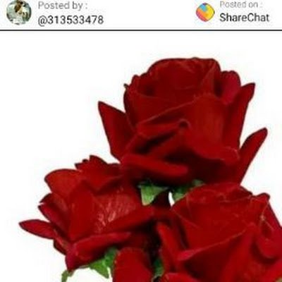 VishalK22266855's profile picture. Zombie