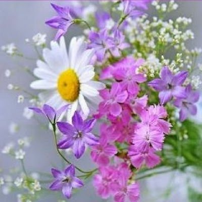 smileflay605's profile picture. 