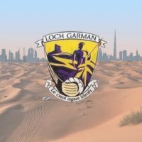 Wexford GAA Middle East(@WexfordGAAME) 's Twitter Profile Photo