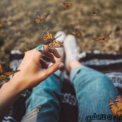 (دیوانگان پرواز ....🕊🕊را میل خزیدن نیست ۰)