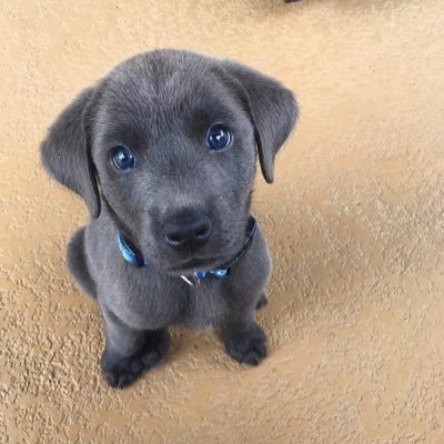jackieandJerry's profile picture. Jerry