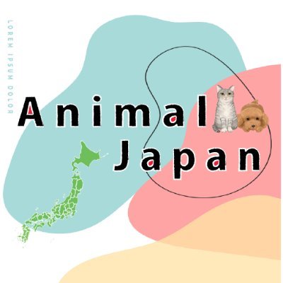 日本のオモかわペット文化を世界へ発信してゆくために立ち上げたメディアです🐱🐶
こちらはご連絡用アカウントになっております。