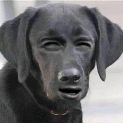 lissain_alma's profile picture. I'm a bro,bro