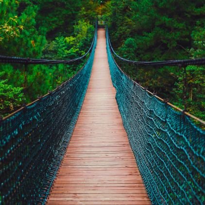 jnmutua2's profile picture. 