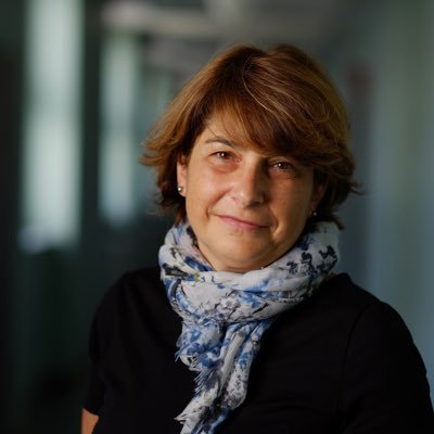 Bin bilingual aufgewachsen (deutsch-georgisch), Diplom Germanistin, Literaturübersetzerin, seit 1995 beim Goethe-Institut (in Georgien und zZ in Armenien).